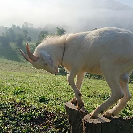ไร่นิธิสุนทร Nithisoonthon Farmstay Mae Hong Son Ngoại thất bức ảnh