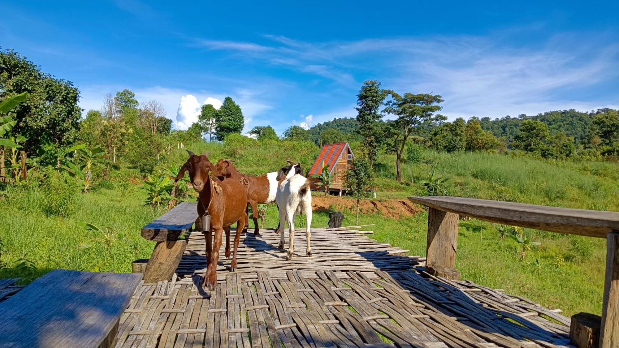 ไร่นิธิสุนทร Nithisoonthon Farmstay Mae Hong Son Ngoại thất bức ảnh