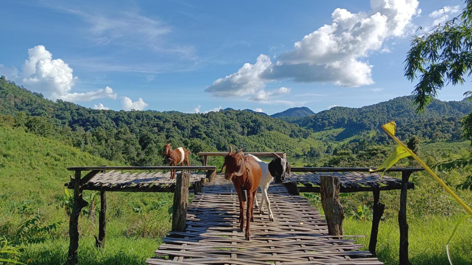 ไร่นิธิสุนทร Nithisoonthon Farmstay Mae Hong Son Ngoại thất bức ảnh