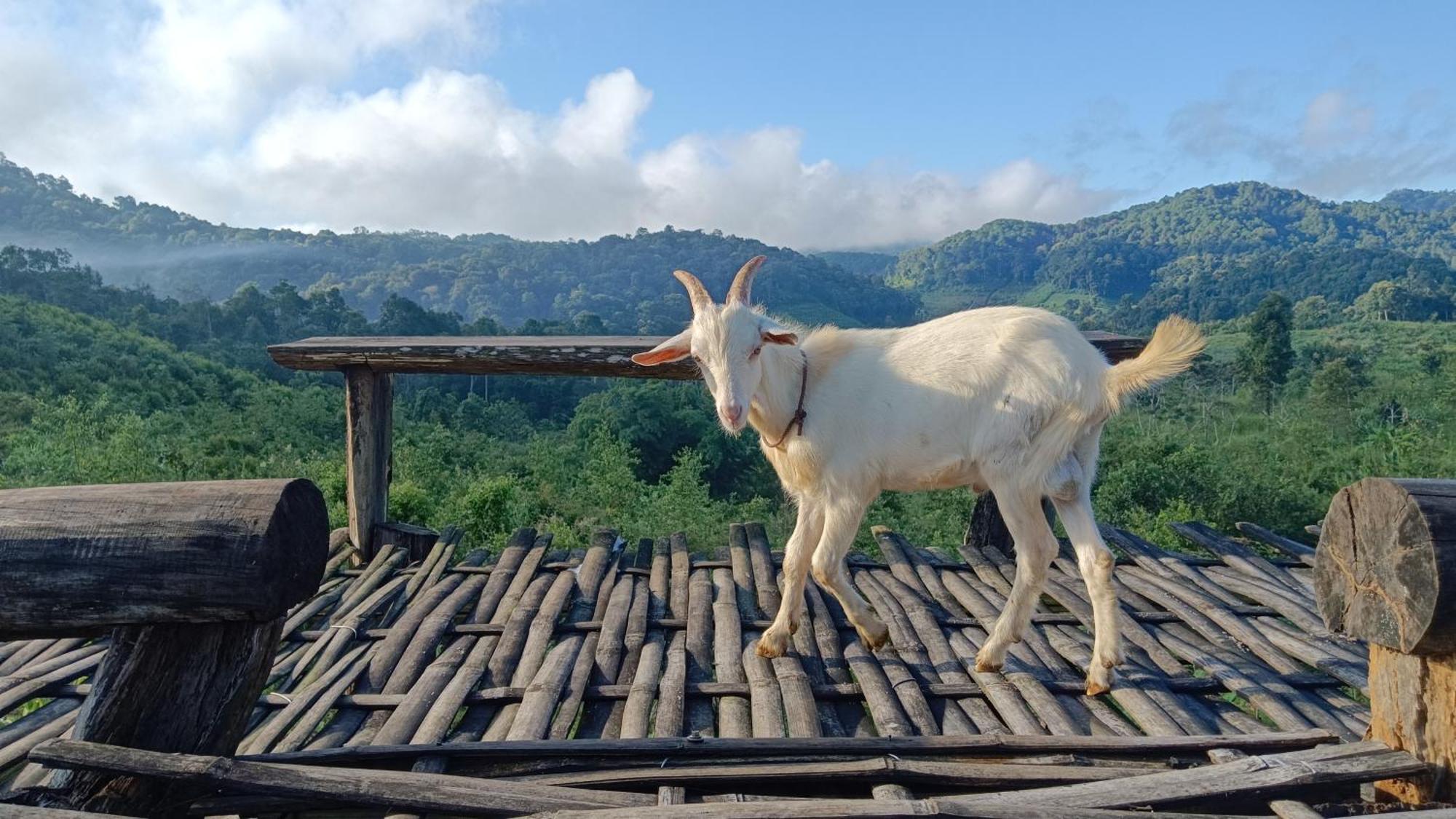 ไร่นิธิสุนทร Nithisoonthon Farmstay Mae Hong Son Ngoại thất bức ảnh