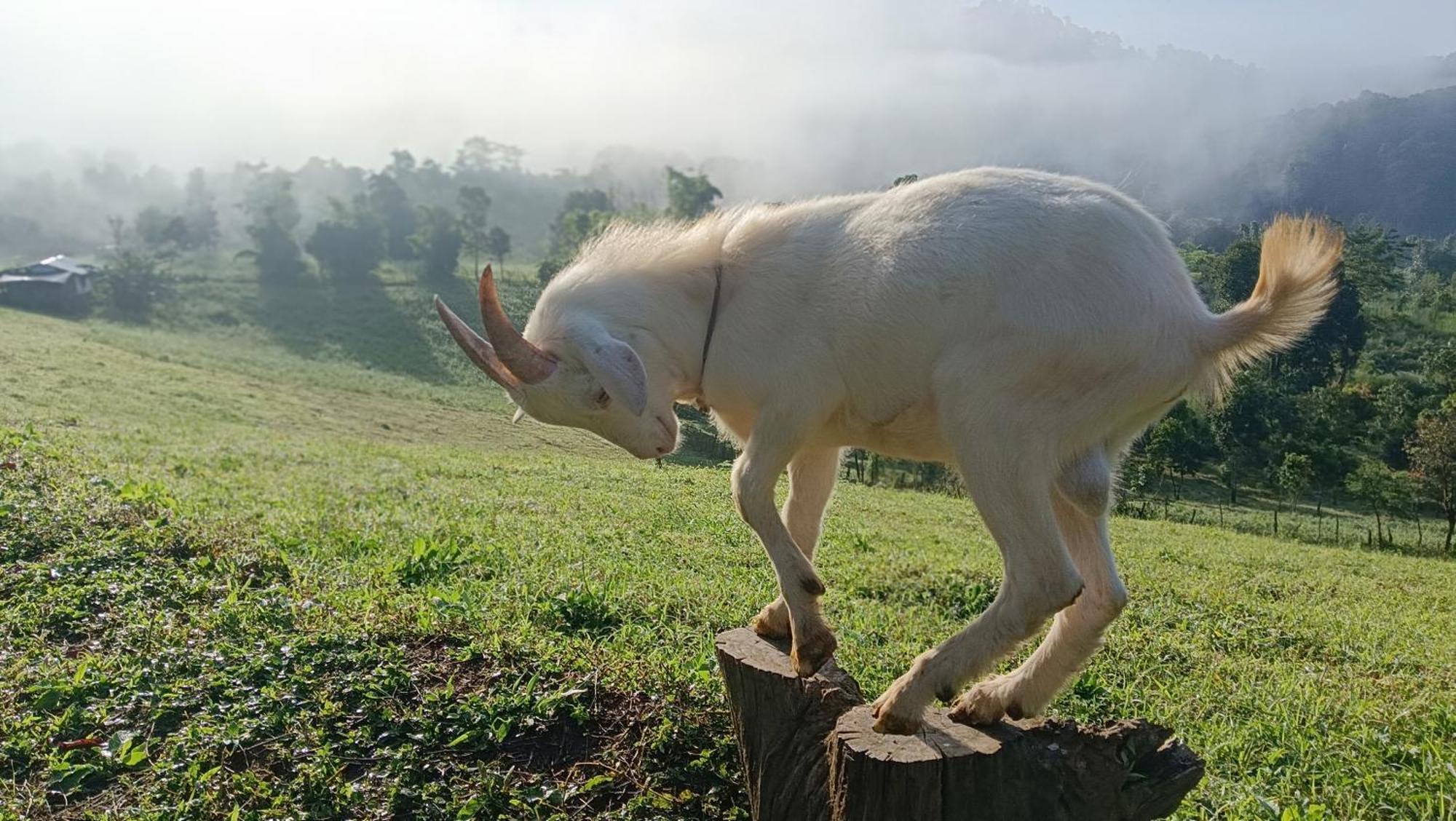 ไร่นิธิสุนทร Nithisoonthon Farmstay Mae Hong Son Ngoại thất bức ảnh