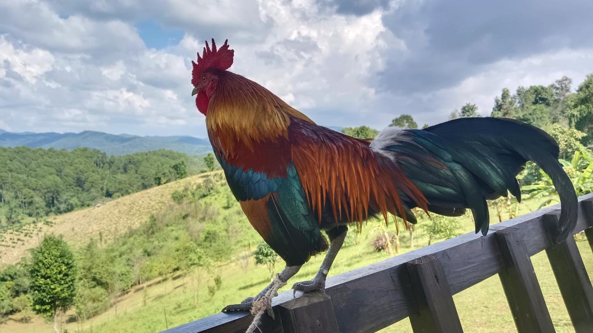 ไร่นิธิสุนทร Nithisoonthon Farmstay Mae Hong Son Ngoại thất bức ảnh