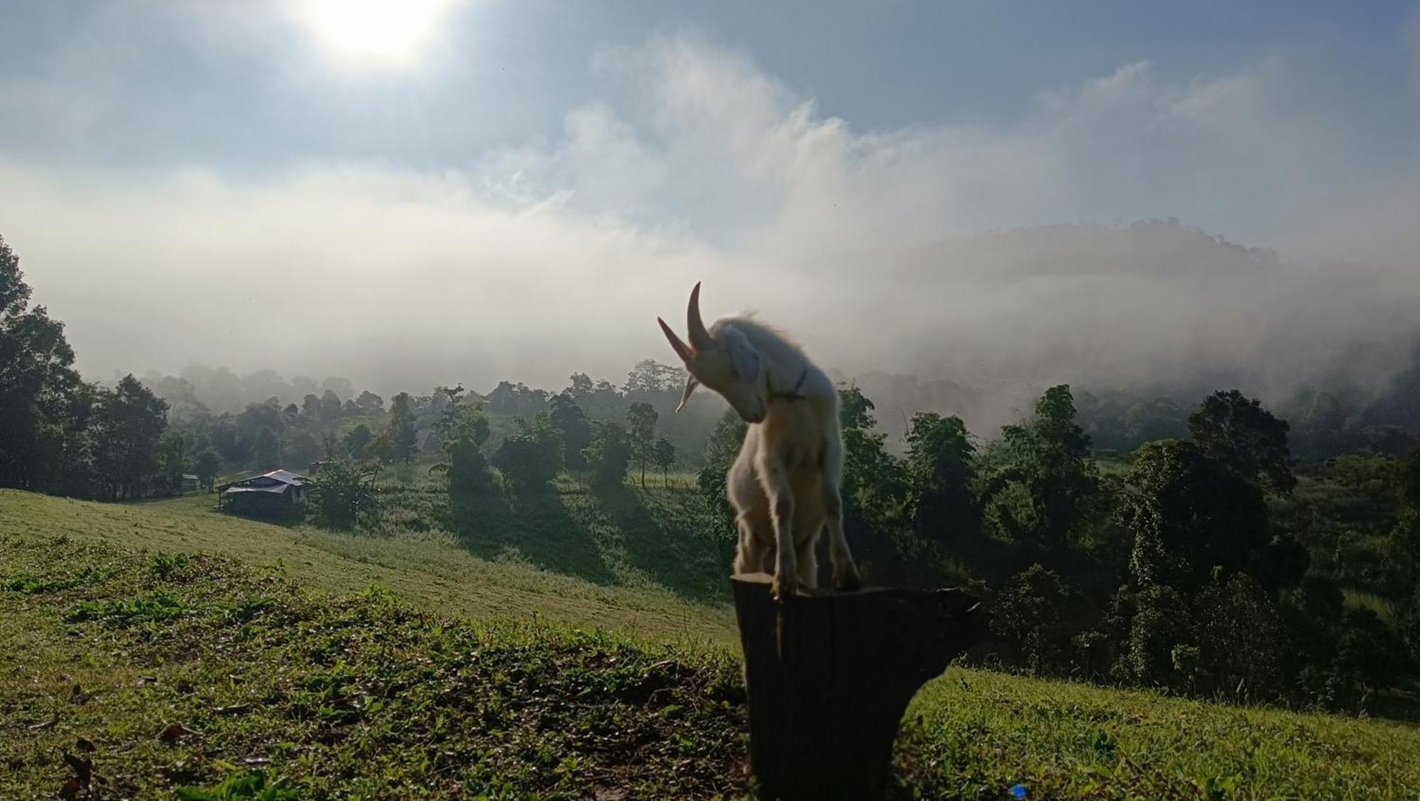 ไร่นิธิสุนทร Nithisoonthon Farmstay Mae Hong Son Ngoại thất bức ảnh