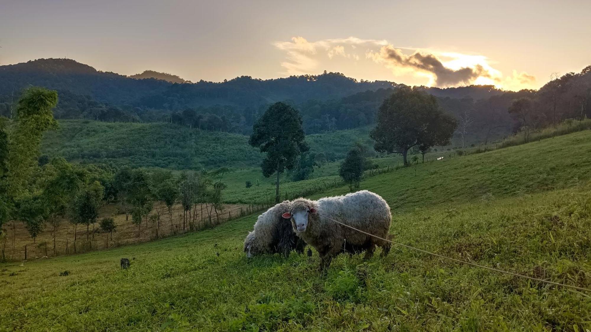 ไร่นิธิสุนทร Nithisoonthon Farmstay Mae Hong Son Ngoại thất bức ảnh