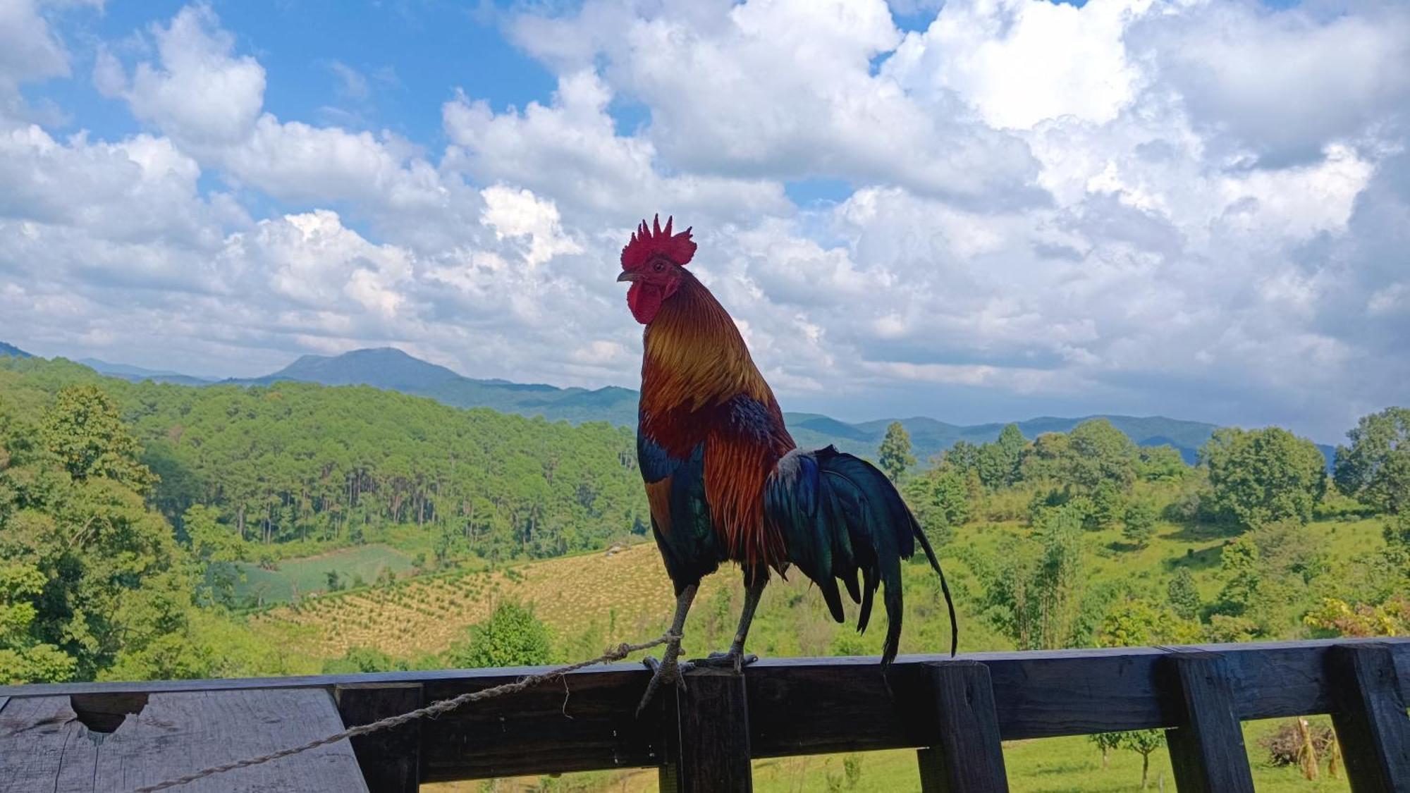 ไร่นิธิสุนทร Nithisoonthon Farmstay Mae Hong Son Ngoại thất bức ảnh